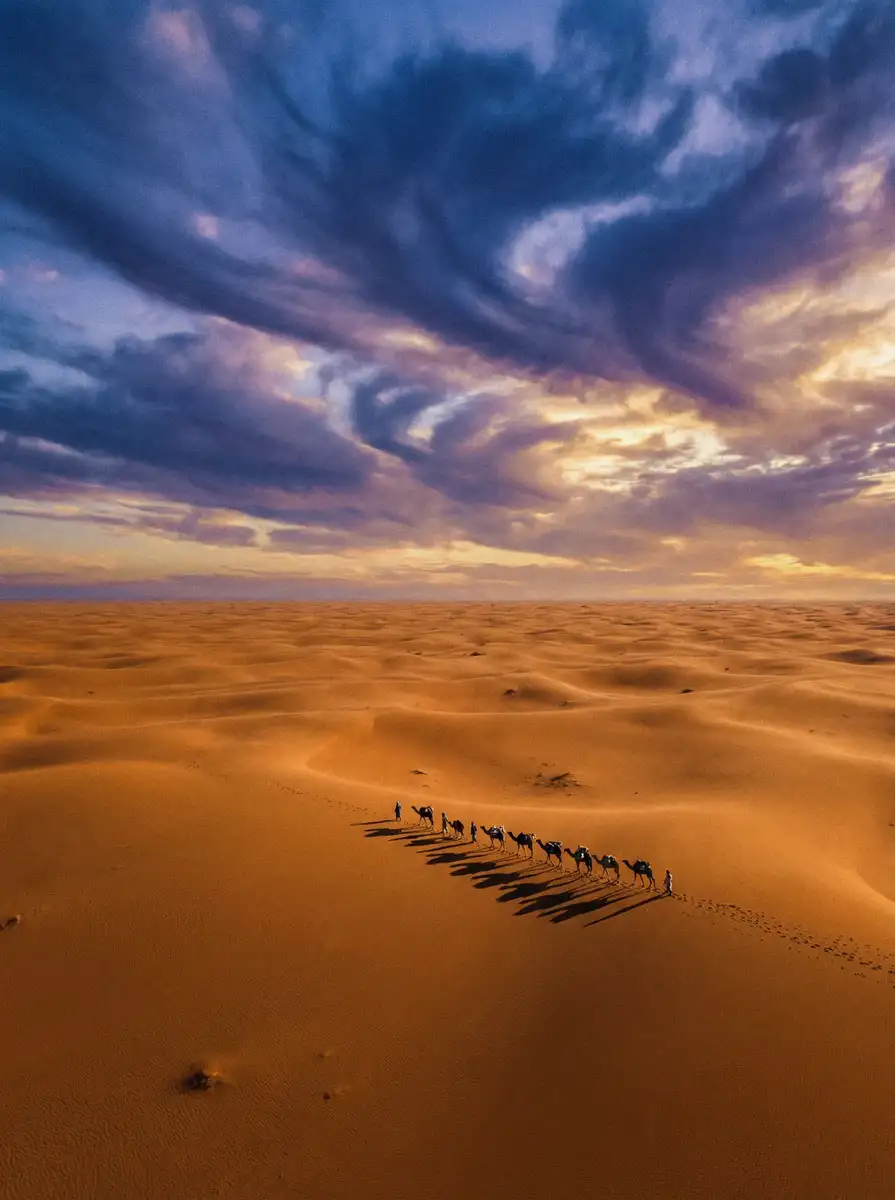 纪录片《丝路回响》 - 主题大赛 项目